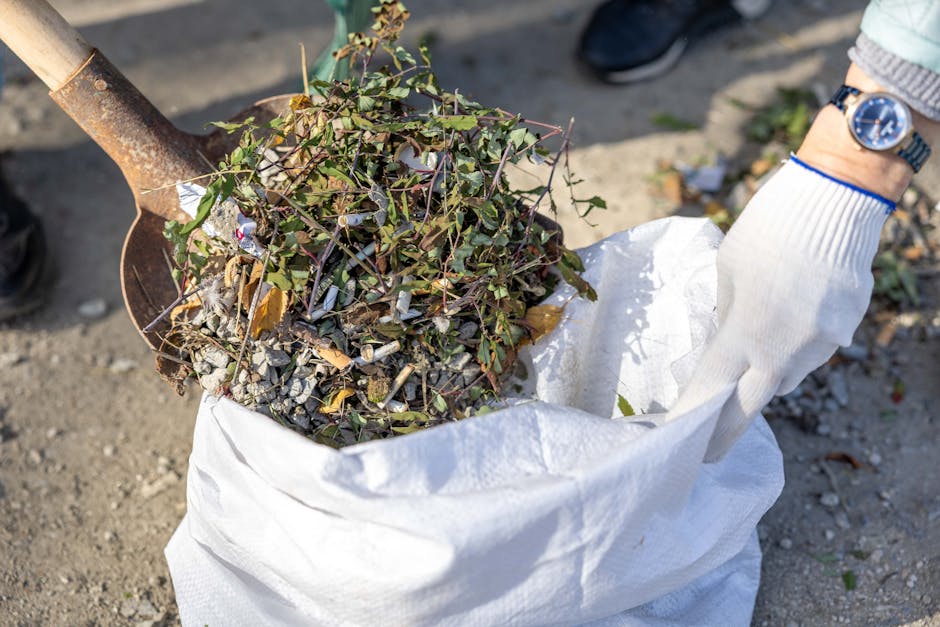 A person wearing a white glove is holding an open white woven polypropylene bag filled with a mixture of garden waste, including small branches and leaves, on a gravel surface outdoors. A rusted shovel with a wooden handle is partially visible on the left side, positioned as if used to gather the waste. In the background, a person's hand and wristwatch are visible, wearing a grey sweater cuff. The scene depicts a typical outdoor waste clearance activity, emphasizing garden refuse removal which might be handled through private rubbish collection services like those offered by Waste Disposal Fulham. The environment is natural and raw, with sunlight illuminating the waste and surrounding gravel, indicating daytime. The image focuses on the process of collecting and preparing garden debris for disposal, relevant to alternative waste handling methods outside municipal rubbish collection, highlighting the importance of proper waste segregation and manual removal efforts.
